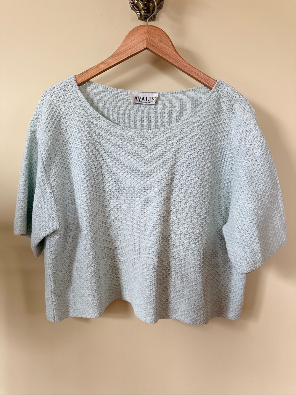 Avalin Made in USA Light Mint Short Sleeve Crochet Top Slightly Crop